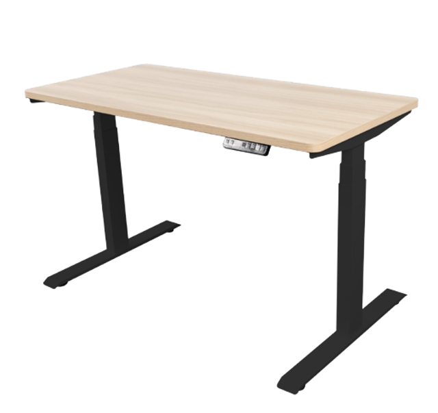 โต๊ะทำงาน รุ่น Ergonomic Desk Single Motor 1