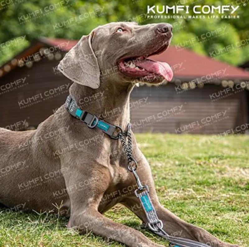 ปลอกคอสุนัข Calmer Collar 2