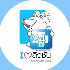 ตรวจสุขภาพแมว โรงพยาบาลสัตว์ตลิ่งชัน