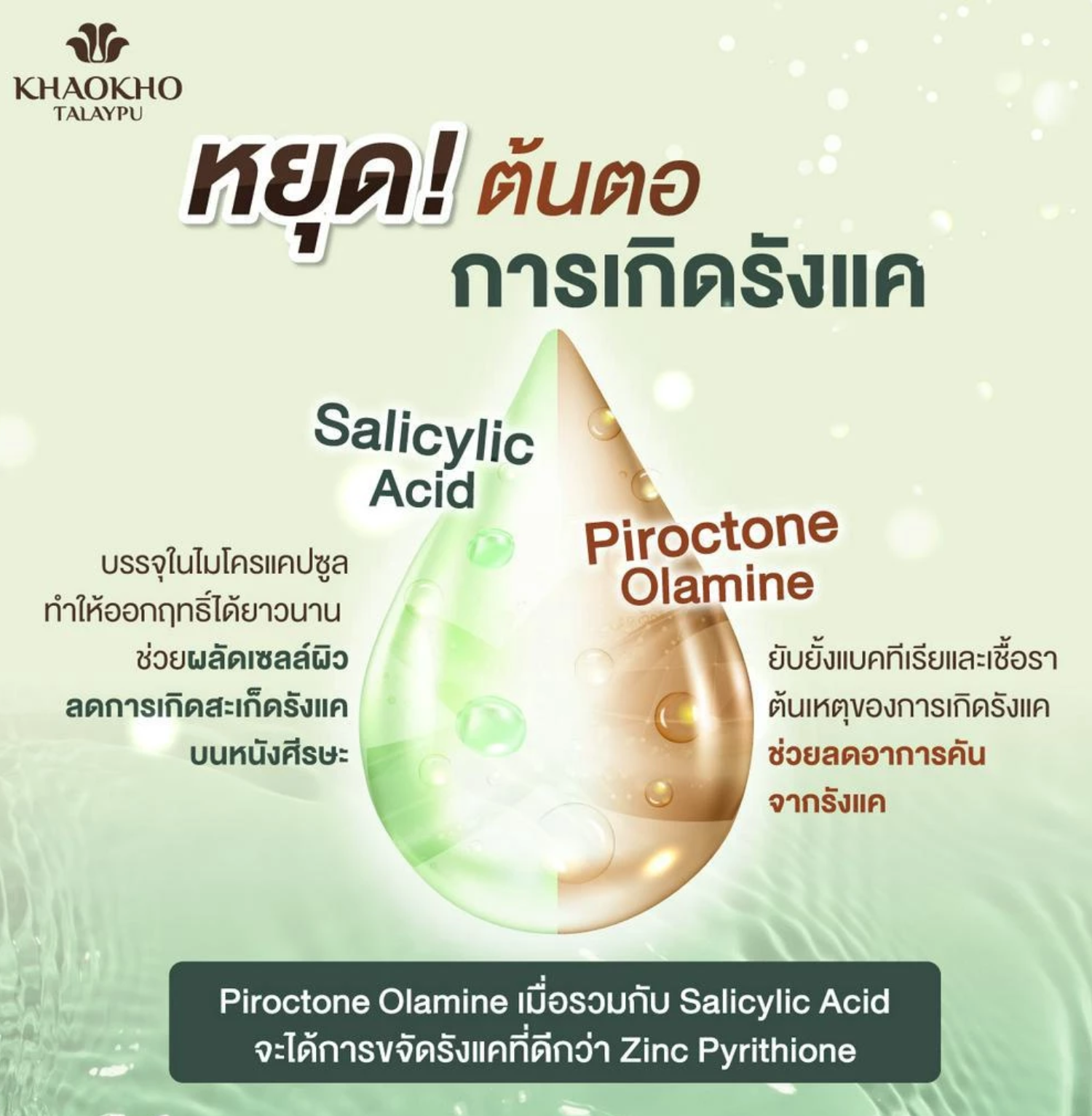 แชมพู สูตร Cooling & Balancing 2