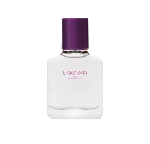 Gardenia 1