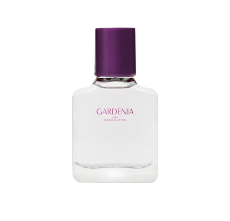 Gardenia 1