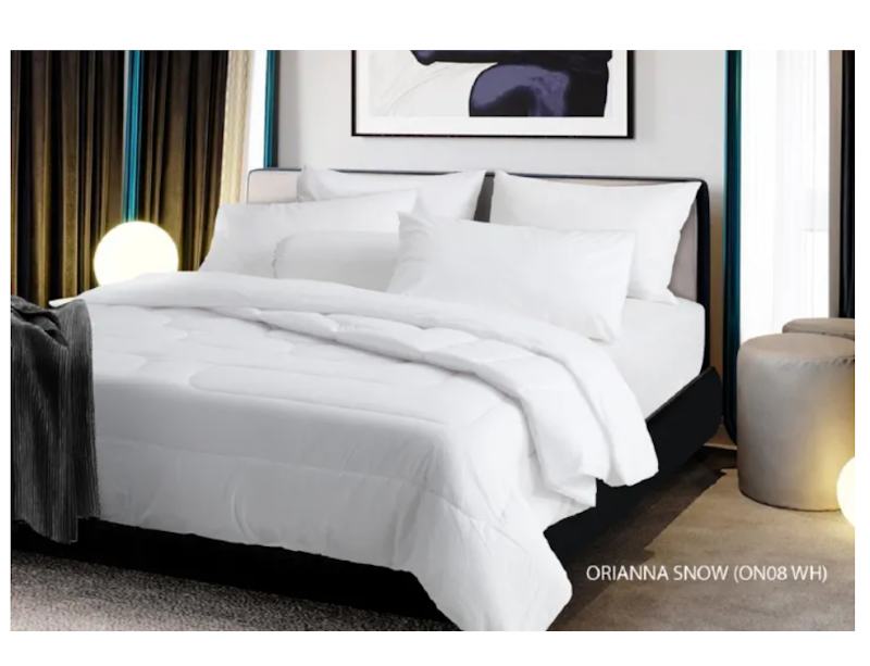 Softex 2