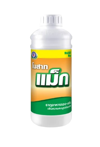 โมสาท แม็ก 1