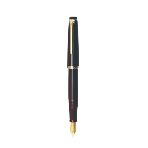 Professional Gear Lecoule Fountain Pen 1
