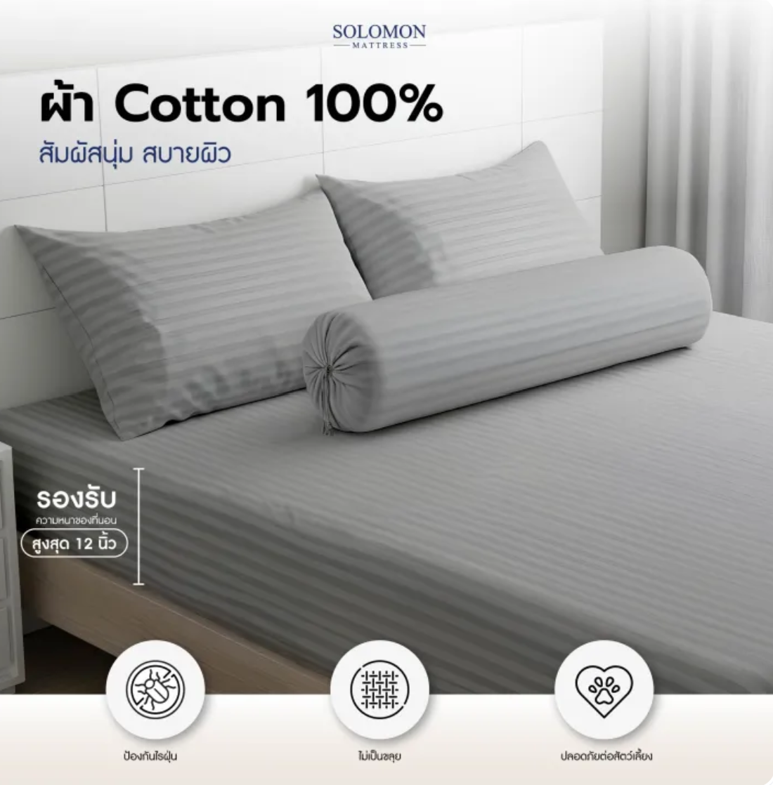ผ้าปูที่นอน สีเทา 3