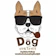 DOG FRIENDLY-K9 โรงเรียนฝึกสุนัข กรุงเทพ 1