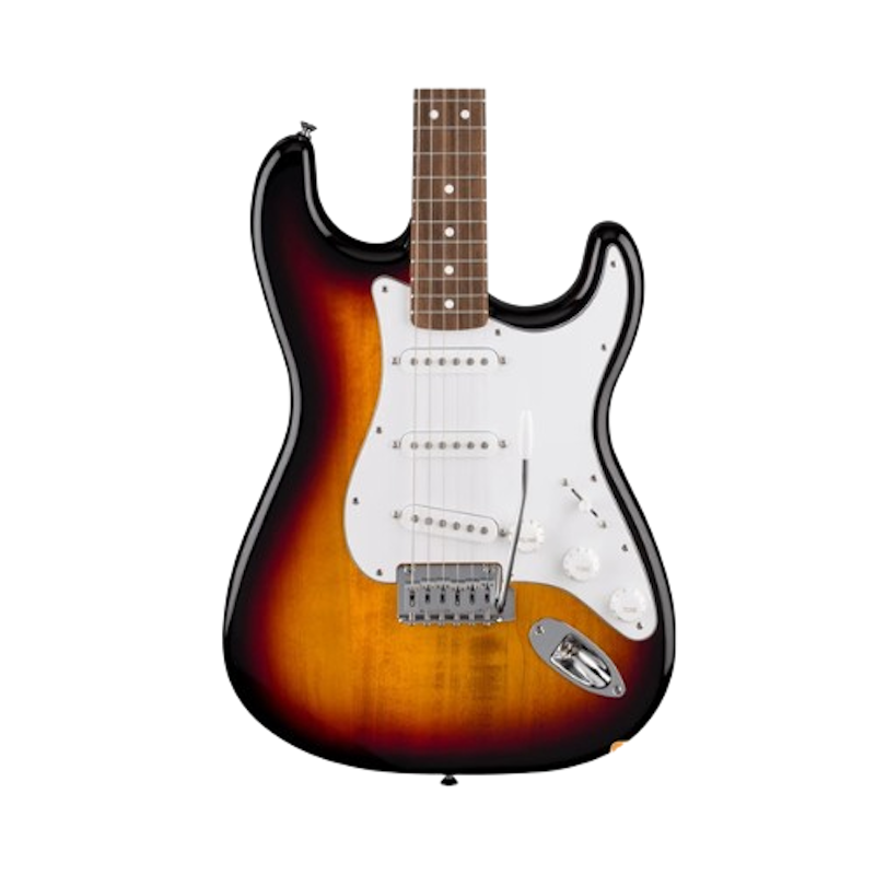กีตาร์ไฟฟ้า รุ่น Standard Stratocaster 2
