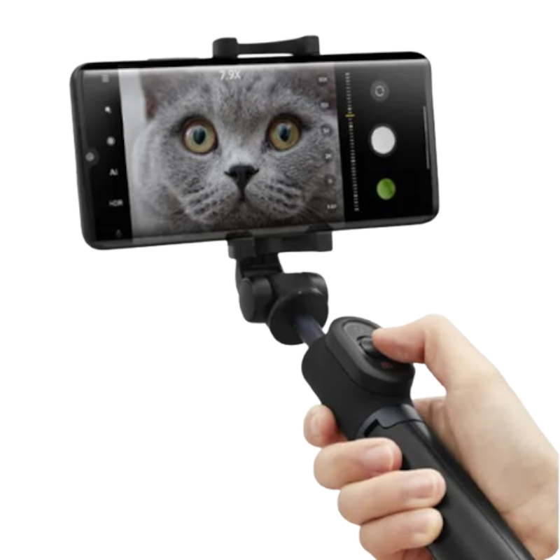 Zoom 2