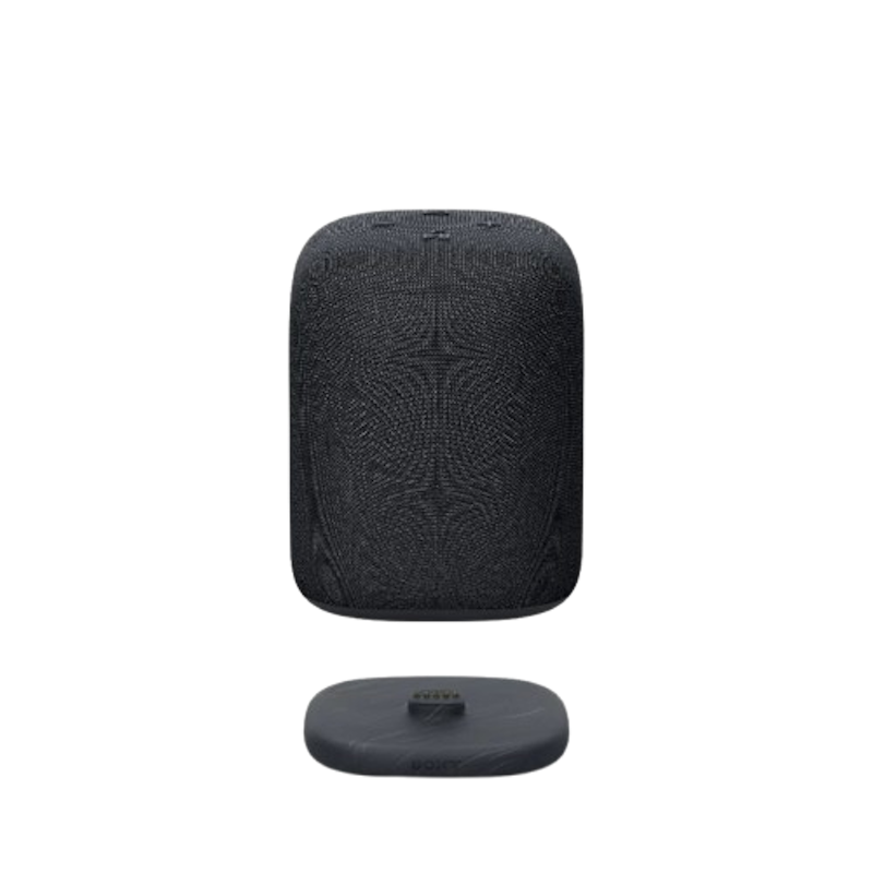 Wireless Speaker In Enclosure 2