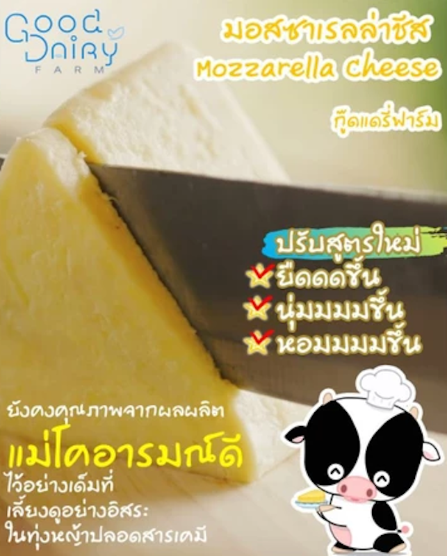 Mozzarella Cheese 2
