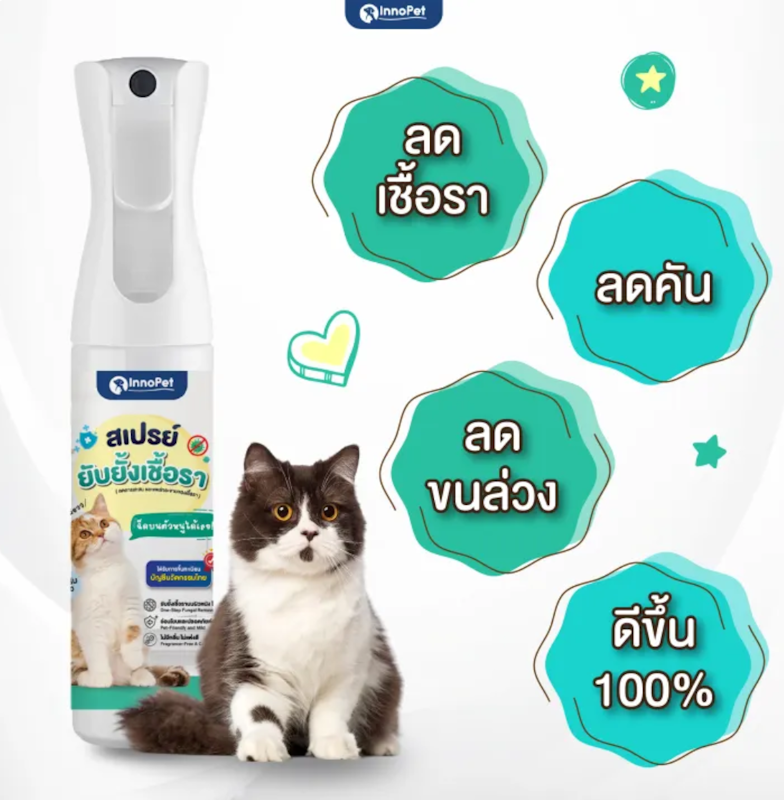 สเปรย์ยับยั้งเชื้อรา 2