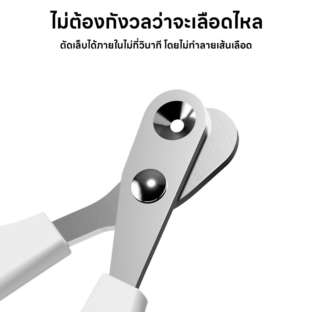 กรรไกรตัดเล็บแมว 2