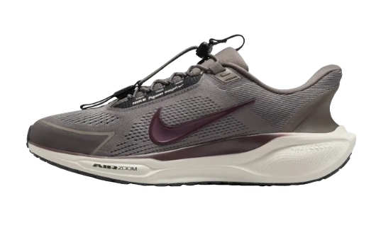 Pegasus Easyon 1