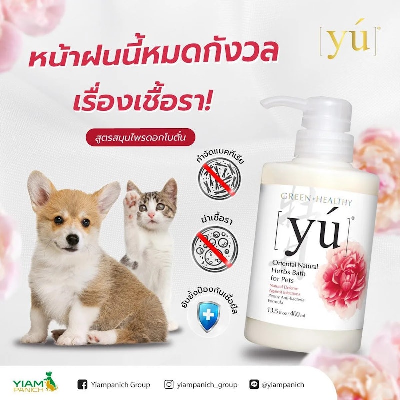 Peony Anti-Bacteria 2