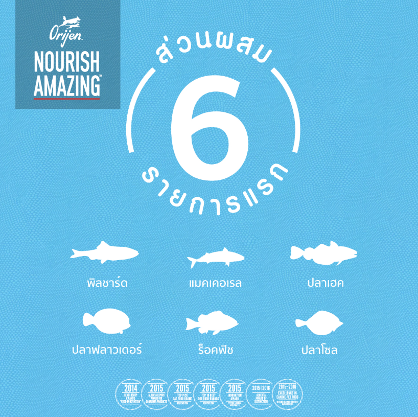 Six Fish Dog 2