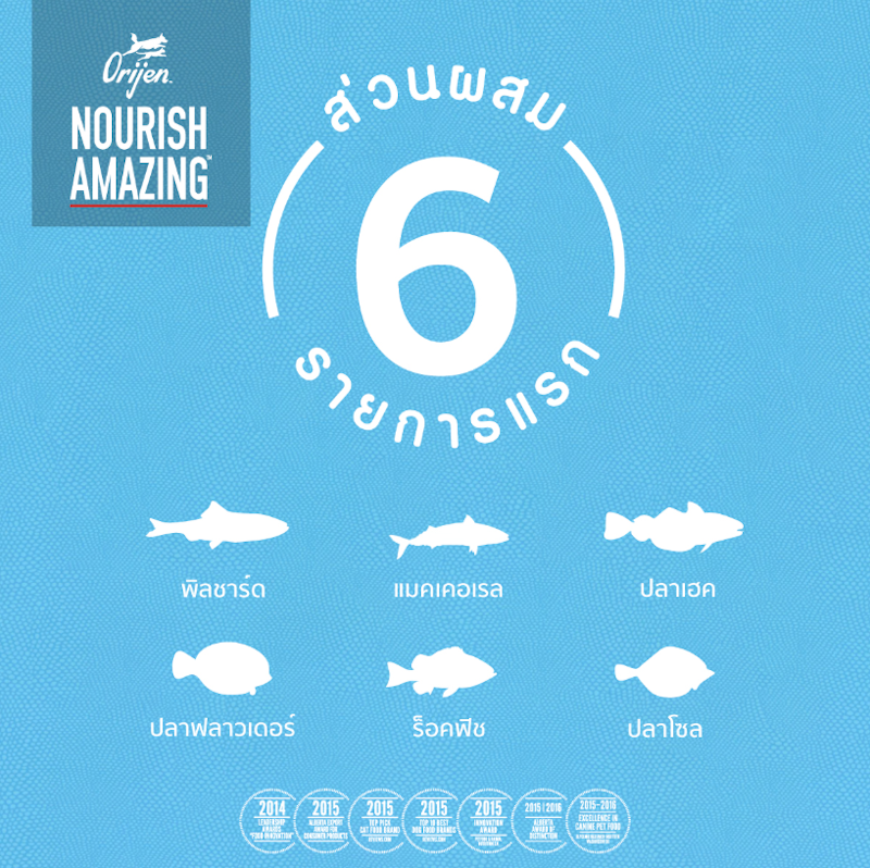 Six Fish Dog 2