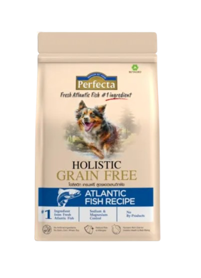 10 อาหารสุนัขเกรด Holistic ยี่ห้อไหนดี ปี 2026 เกรดพรีเมี่ยม 4