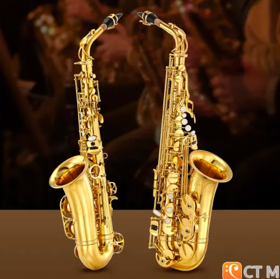 Student Gold Lacquer E Flat Alto Saxophone 2