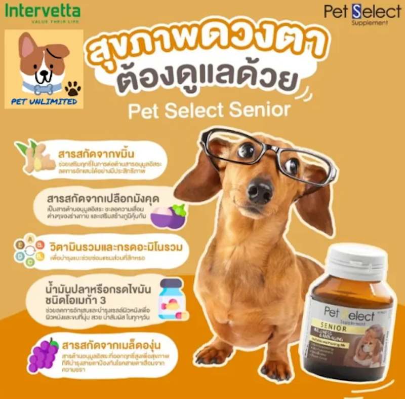 Senior อาหารเสริมสุนัข แมว สูงอายุ 2