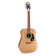Epiphone กีต้าร์โปร่ง รุ่น PRO-1 1