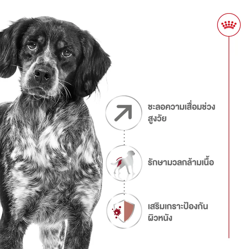 อาหารเปียกสุนัขสูงวัย Medium Ageing 10+ Pouch Gravy 3