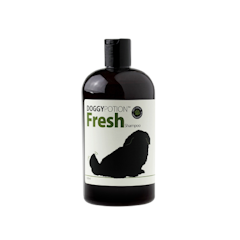 Fresh Shampoo