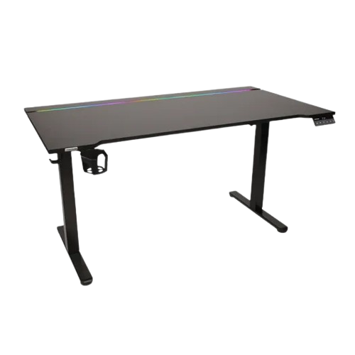 Integra Electric Standing Desk 1
