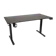 Ergonoz Integra Electric Standing Desk 1