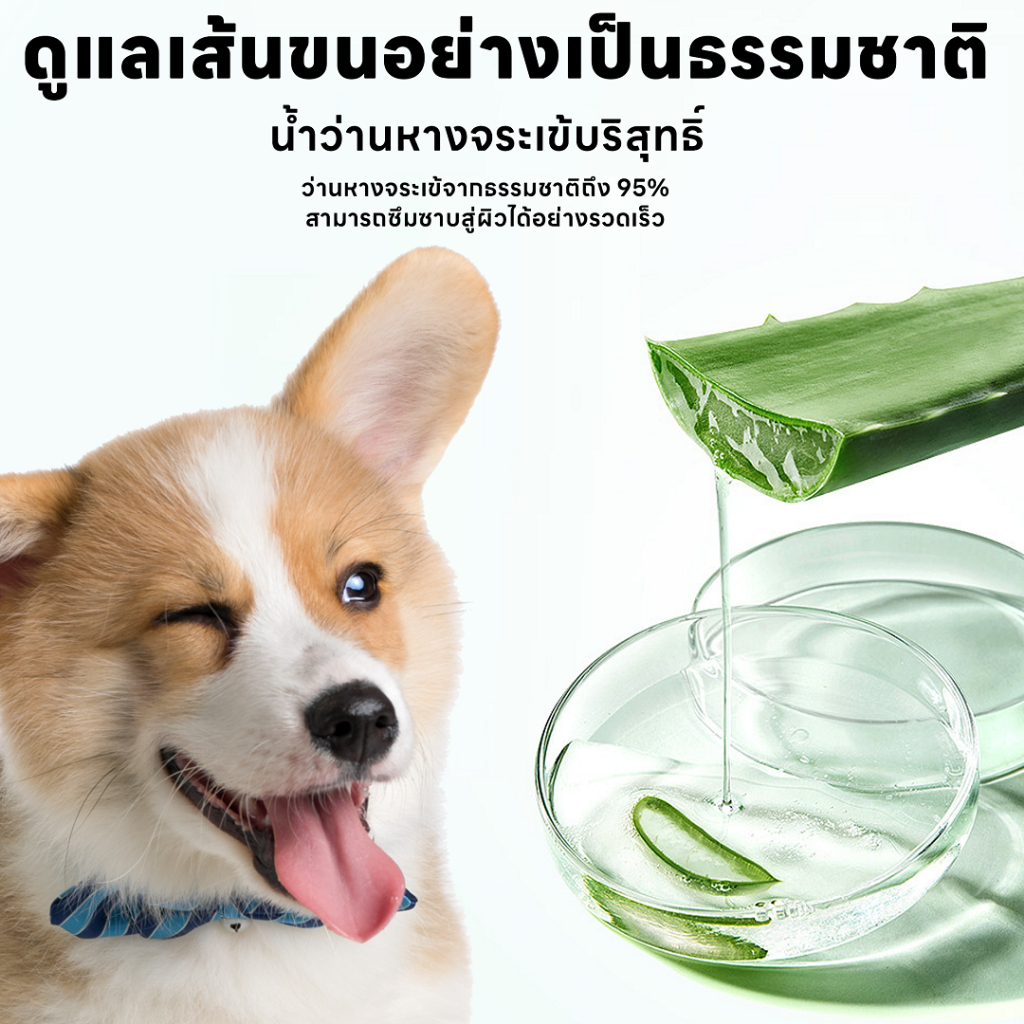 Aloe Vera Pet Wipes 3