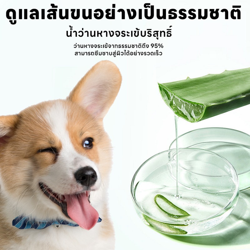 Aloe Vera Pet Wipes 3