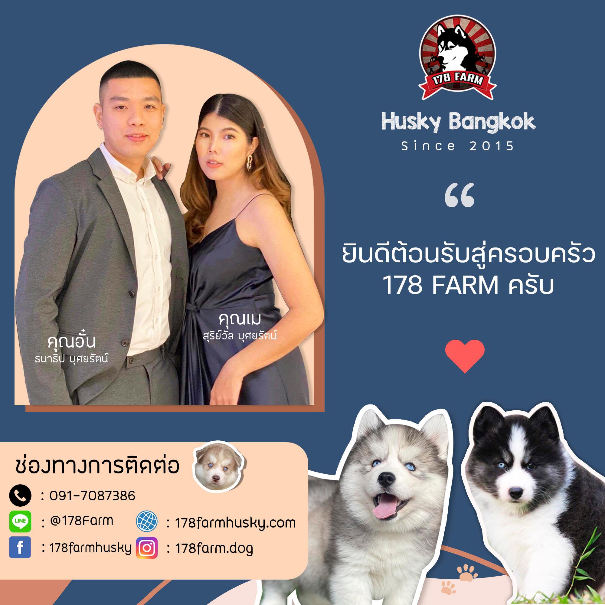 ฟาร์มสุนัข 178Farm Husky Bangkok 7