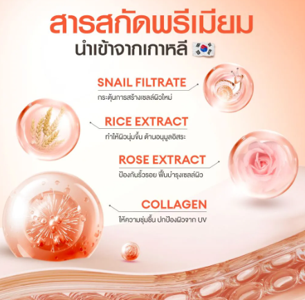 Snail Bright Primer 2