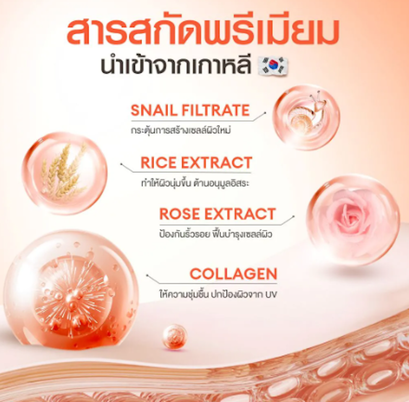 Snail Bright Primer 2