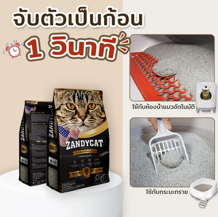 ทรายแมวภูเขาไฟ 2