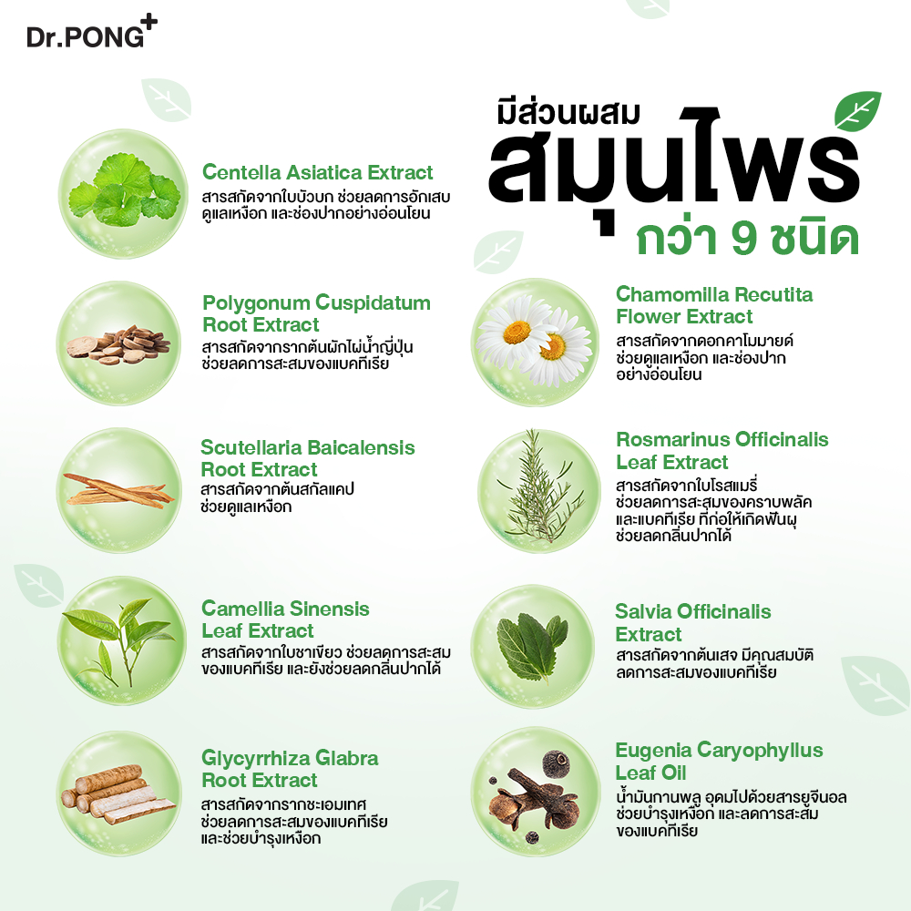 ยาสีฟันสมุนไพร สูตร 9X Herbal Plus Fluoride 2