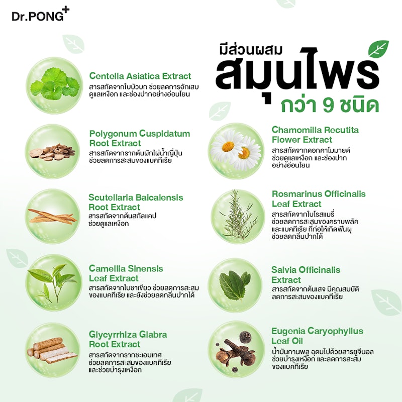 ยาสีฟันสมุนไพร สูตร 9X Herbal Plus Fluoride 2