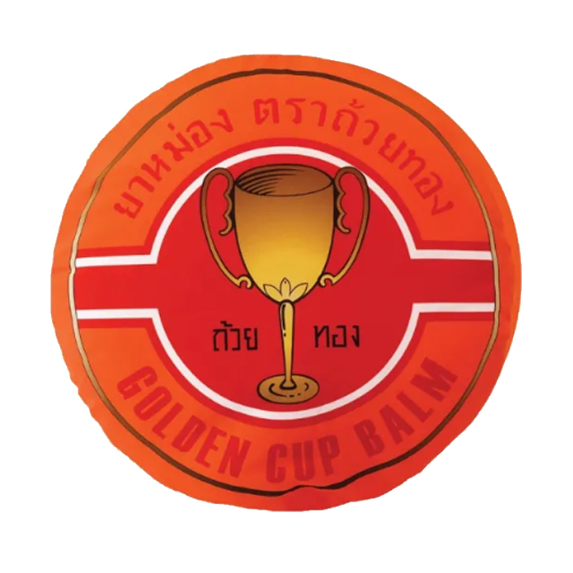 10 หมอนผ้าห่ม ปี 2026 หมอนตุ๊กตา ผ้านุ่ม 3