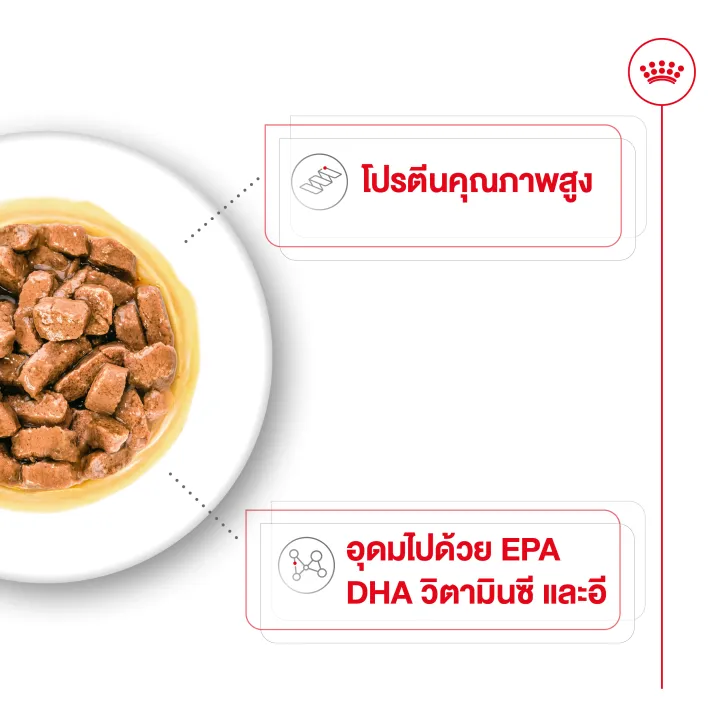 อาหารเปียกสุนัขสูงวัย Medium Ageing 10+ Pouch Gravy 2