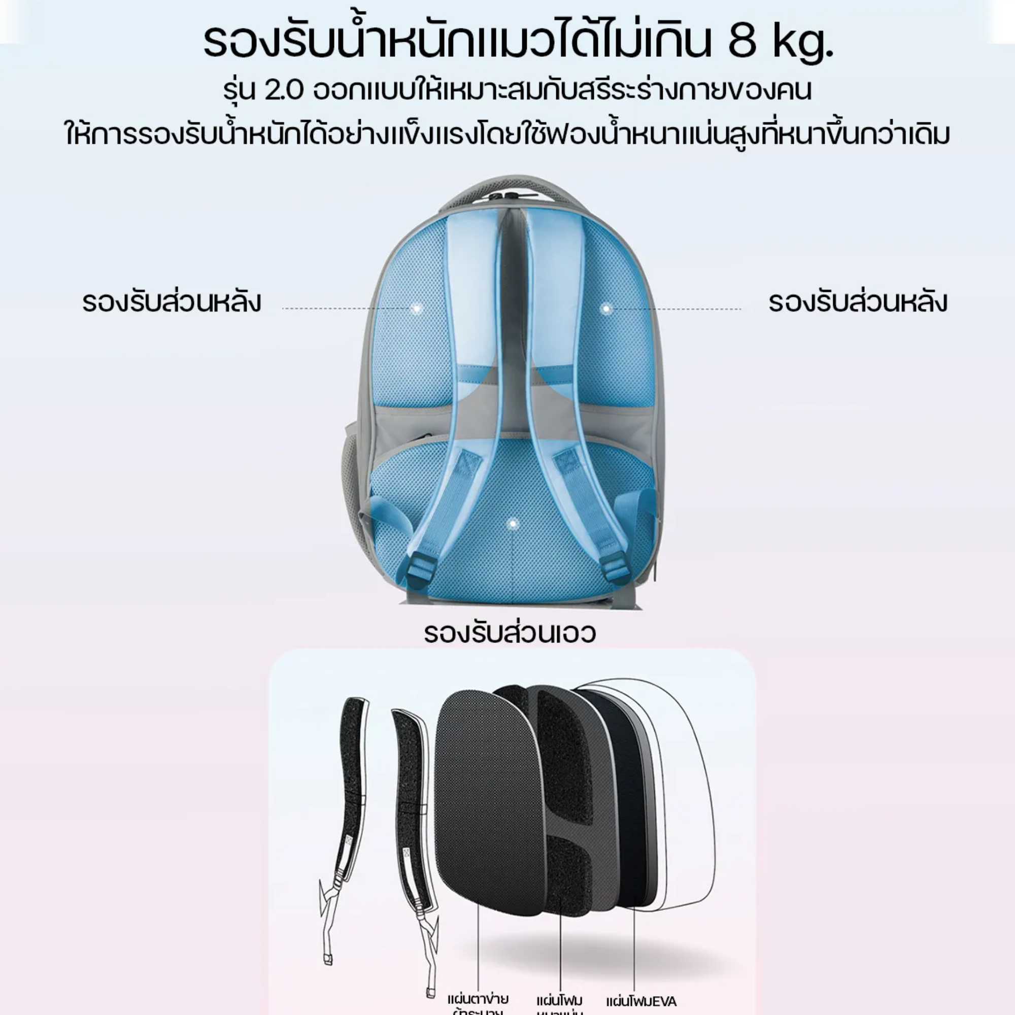 Cat Breezy Bag 2.0 3