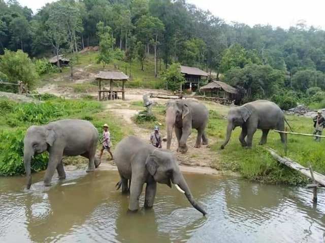 ที่พักดอยอินทนนท์ Maewin Guest House and Resort 3