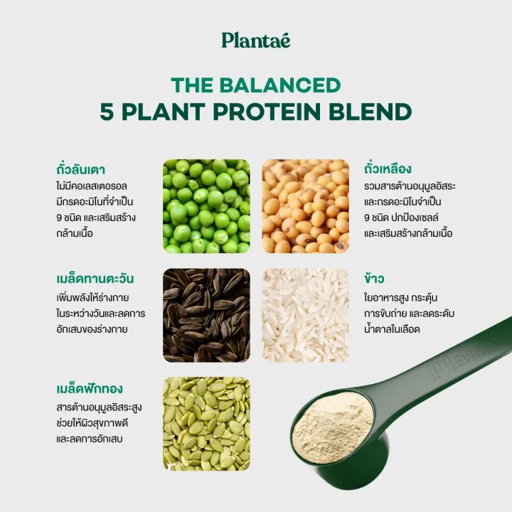 โปรตีนพืช Complete Plant-Protein Active BCAAs รสชาไทย 3