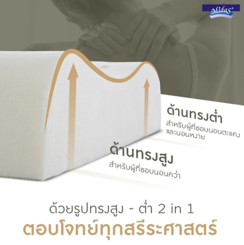หมอนหนุนยางพารา รุ่น Neck Contour 2