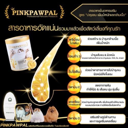 Coat & Muscle Support ผงโปรตีน 2