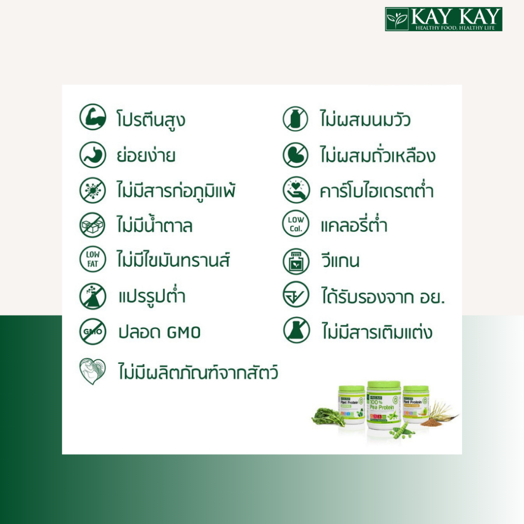 โปรตีนถั่วลันเตา Organic Pea Protein 3