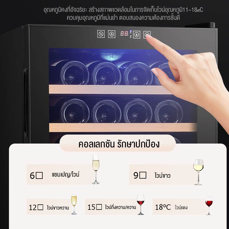 Wine cooler ชั้นสเตนเลส รุ่น BW-70D1 2