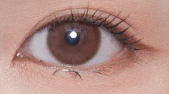 Silicone Hydrogel สี Teddy Bear Brown 2