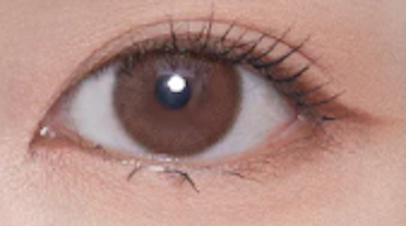 Silicone Hydrogel สี Teddy Bear Brown 2