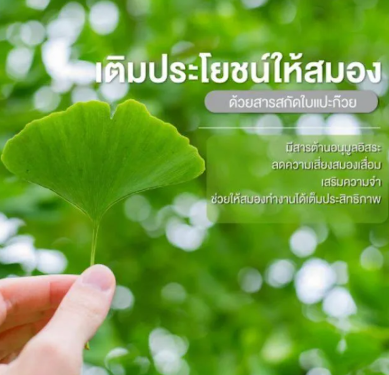 Ginkola 2
