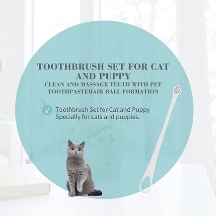 แปรงสีฟันหัวเล็กพิเศษ สำหรับสุนัขและแมว Toothbrush Set  2